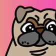 Programikon: Pug evolve