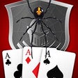ไอคอนของโปรแกรม: Shadow Knights Spider