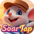 Programikonen: SoarTap