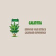 프로그램 아이콘: CalIntra