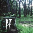 Иконка программы: P.T. for PC