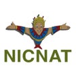 Programikonen: NicNatDirect