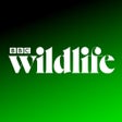 Icoon van programma: BBC Wildlife Magazine