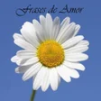 プログラムのアイコン：Frases y Consejos de Amor