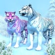 Ikon program: White Tiger Family Simula…