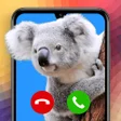 プログラムのアイコン：CallVisuals