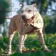 Pitbull dogs jigsaw puzzles