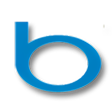 Icon of program: ZapBing