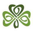 Icon of program: Dublin Irish Festival