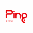 Programikon: Ping Driver