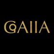 プログラムのアイコン：GAIIA:銀飾專賣店
