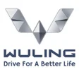 Programikonen: Wuling Sales Assistance