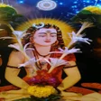 Icon of program: गोरक्ष समृद्धी