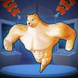 Icon of program: Petahumans