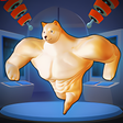 程序图标：Petahumans