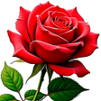 Icoon van programma: Roses Stickers for WhatsA…