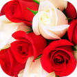 Roses Stickers for WhatsApp WAStickerApps Flowers