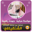 Programikonen: محمد الشنقيطي مواعظ مبكية…