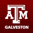 Programın simgesi: Texas AM University-Galve…