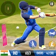 程序图标：Cricket Game: Bat Ball Ga…