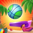 Programın simgesi: Flipper Dunk