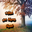 Icon of program: عبارات جميلة عن الحياة