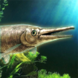 Иконка программы: Alligator Gar raising fro…
