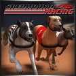 프로그램 아이콘: Greyhound Racing