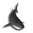 Shark Water World 3D