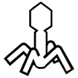 Icon of program: Code Injector