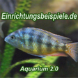 Aquarium 2.0 icon