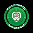 程序图标：Habibi Tunnel