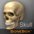 Ícone do programa: BoneBox - Skull Viewer