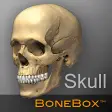 أيقونة البرنامج: BoneBox - Skull Viewer