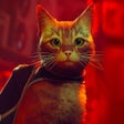 Иконка программы: Stray