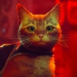 Programikonen: Stray