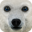 プログラムのアイコン：Ultimate Arctic Simulator