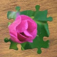 ไอคอนของโปรแกรม: True Jigsaw