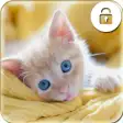 Kitty Cat Phone Lock Screen -