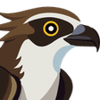 程序图标：Osprey: Browser Protectio…