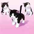 Biểu tượng của chương trình: My Lovely Kitty Cat