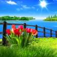 Icoon van programma: Spring Live Wallpaper