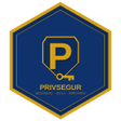 程序图标：PrivSegur: Curso OS10 Chi…