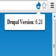 Programikonen: Version Check for Drupal
