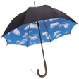程序图标：Sifferstickan