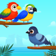 程序图标：Bird Sort Color- Puzzle M…