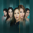 Ícone do programa: Series de Telemundo
