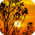程序图标：Sunset Wallpapers