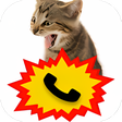 Programikonen: My Call Screener
