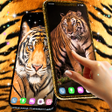 أيقونة البرنامج: Tiger live wallpaper
